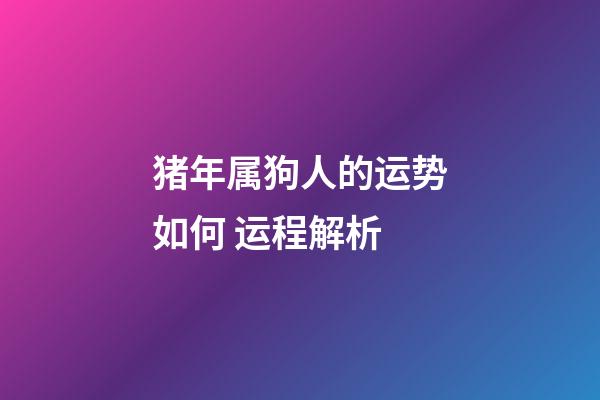 猪年属狗人的运势如何 运程解析